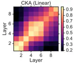 Centered Kernel Alignment (CKA) in Detail